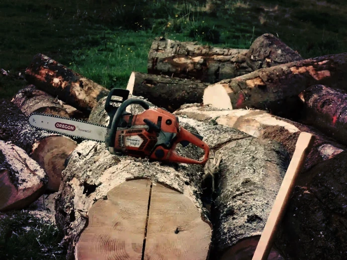 Stump grinding service near Haltom City