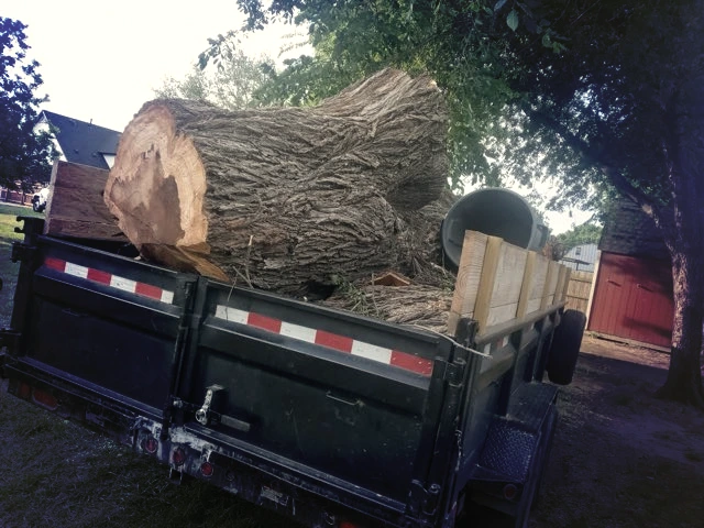 Property cleanup services in Haltom City