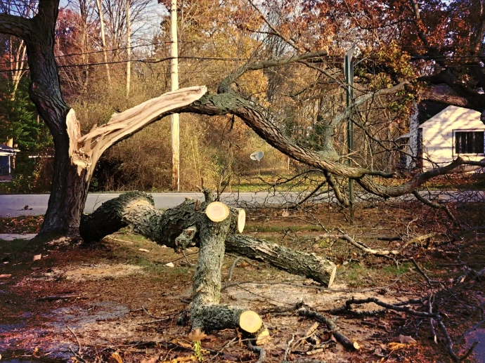 Landscape installation service in Texas